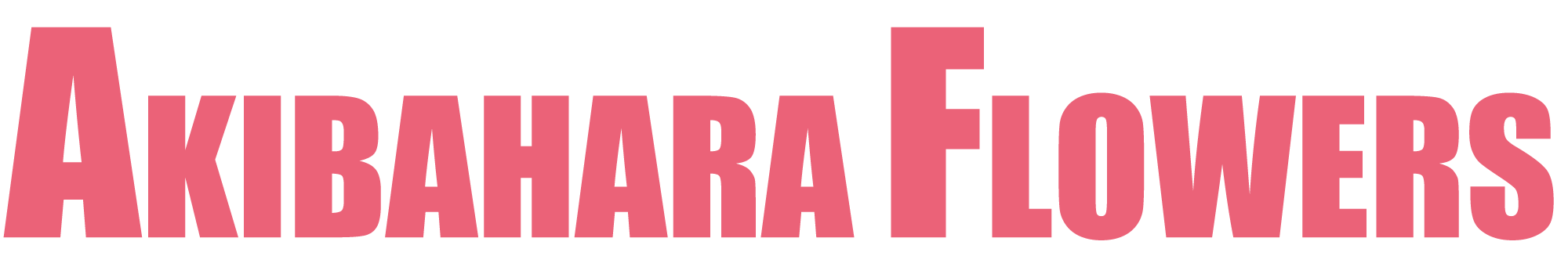 logo.png